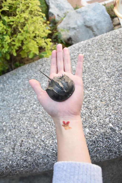 Qg Life 城中館 寵物親子釣魚人民宿 金城鎮 エクステリア 写真