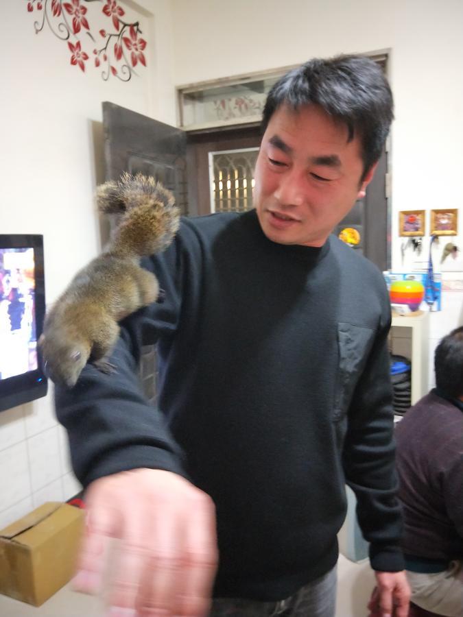 Qg Life 城中館 寵物親子釣魚人民宿 金城鎮 エクステリア 写真